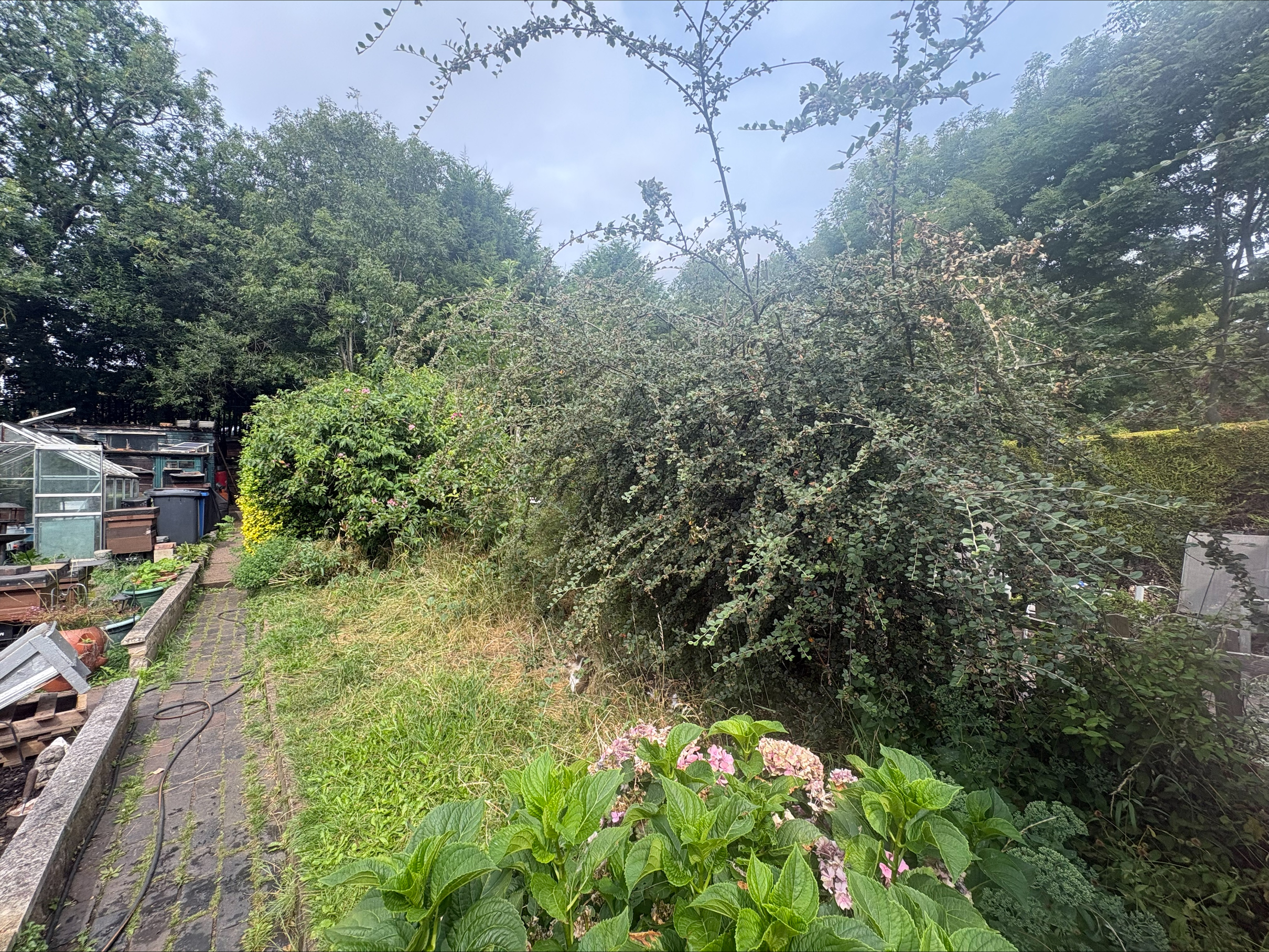 Property image #8